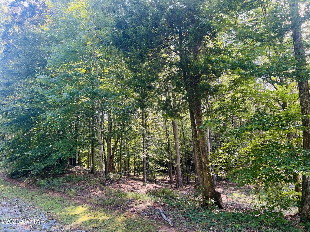Picture 5