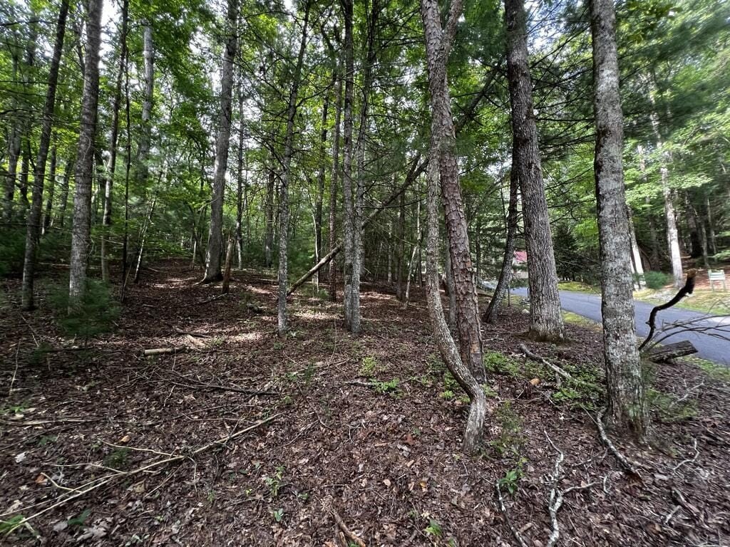 Picture 14
