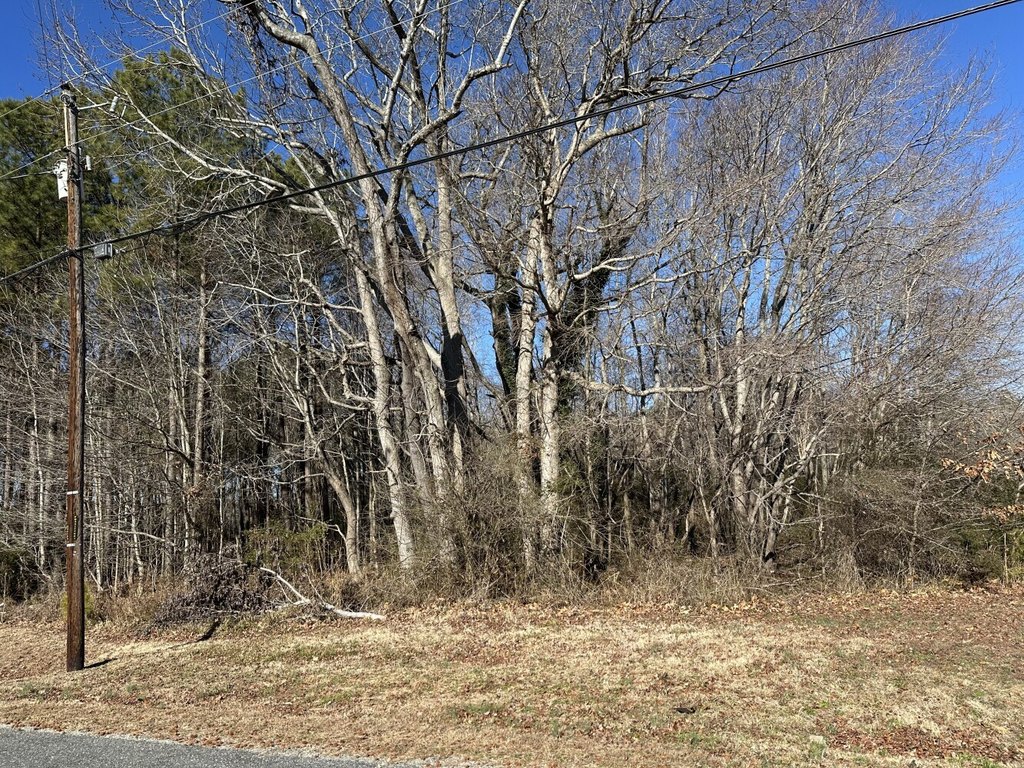 Picture 19
