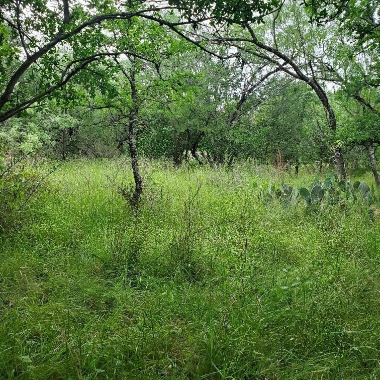 Granite Shoals Land Opportunity