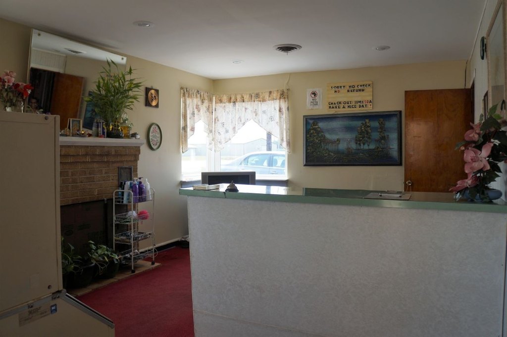 Picture 7