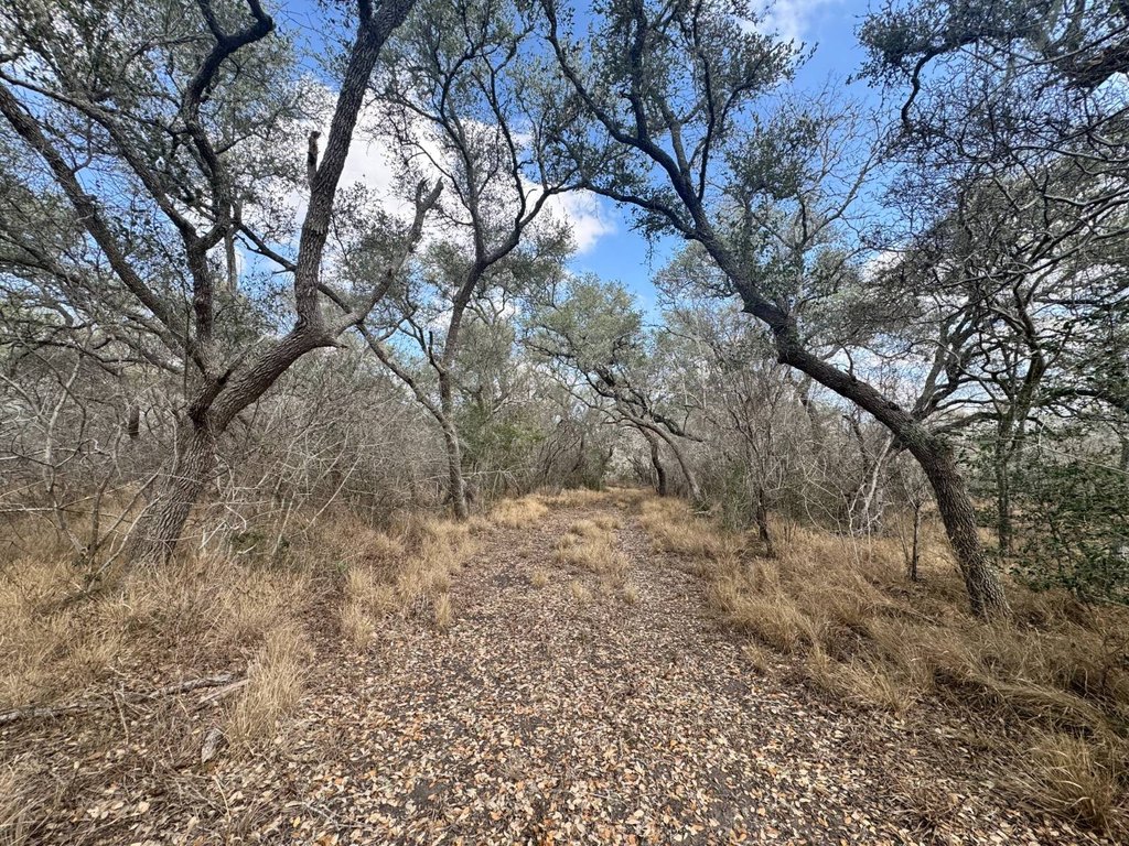 Picture 29