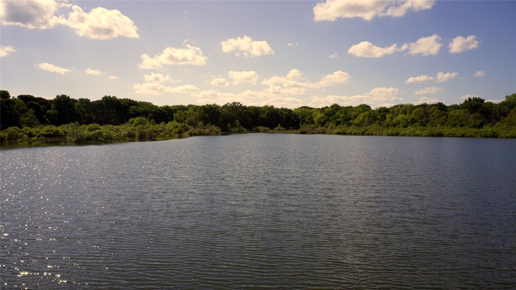 Picture 22