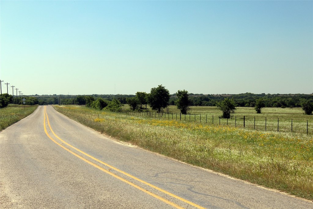 Picture 8