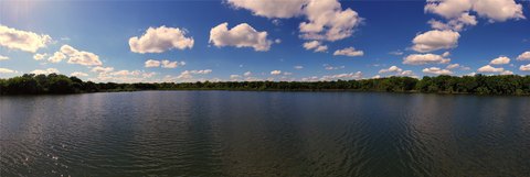Working Cattle Ranch with Lake