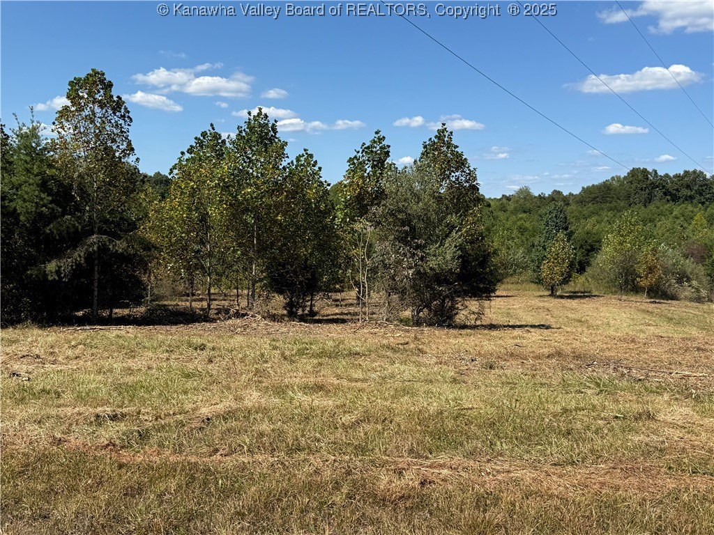 Picture 22