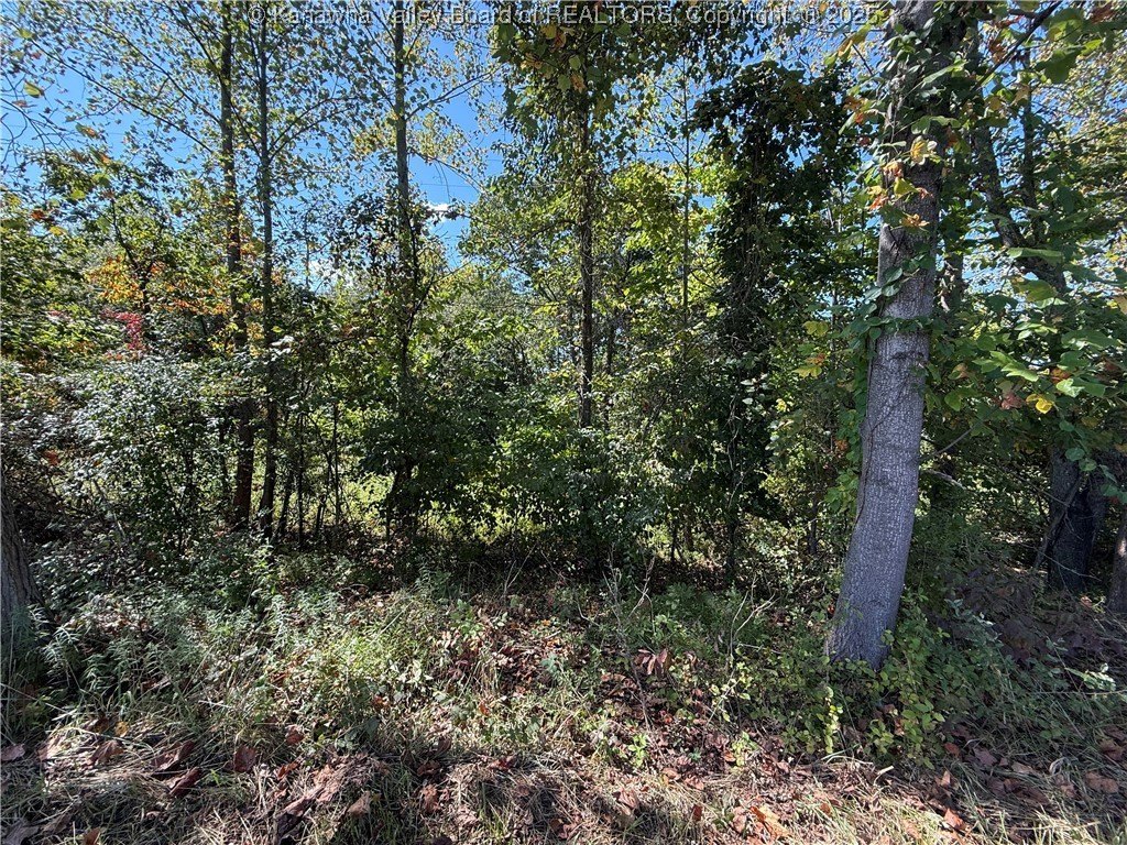 Picture 10