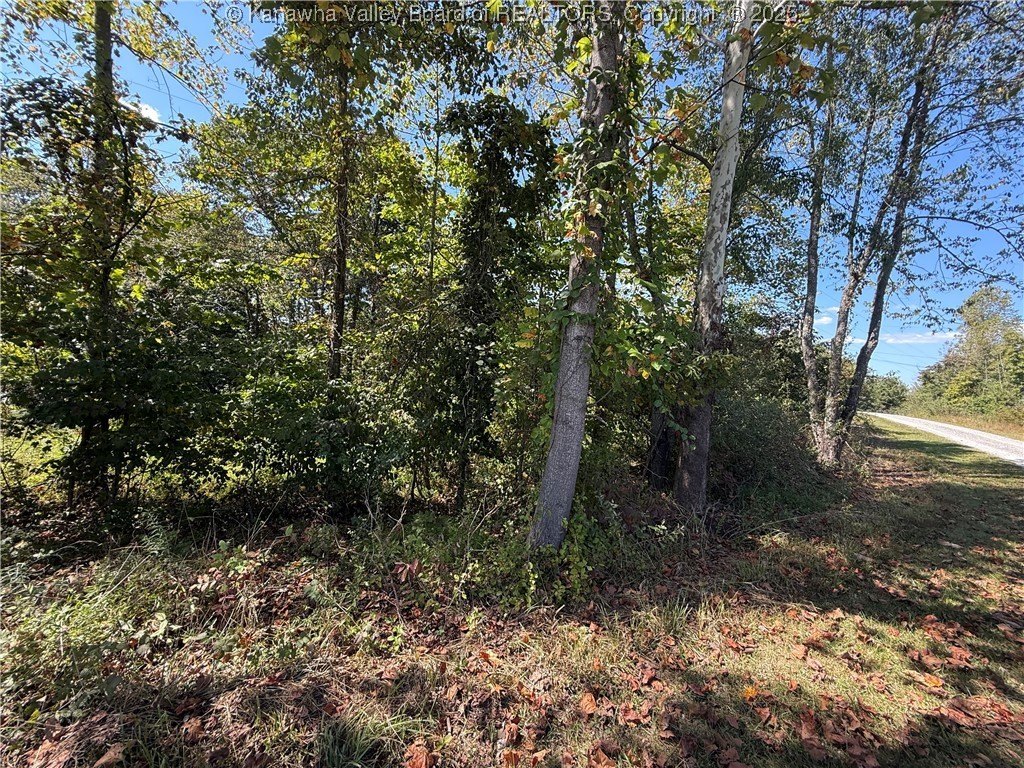 Picture 14