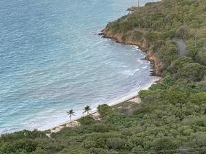 Picture 9