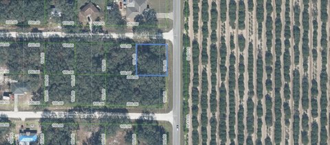 Land, AVON PARK, FL