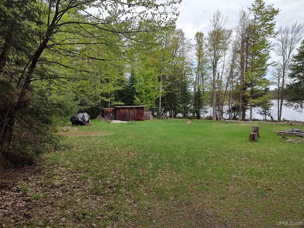 Picture 29