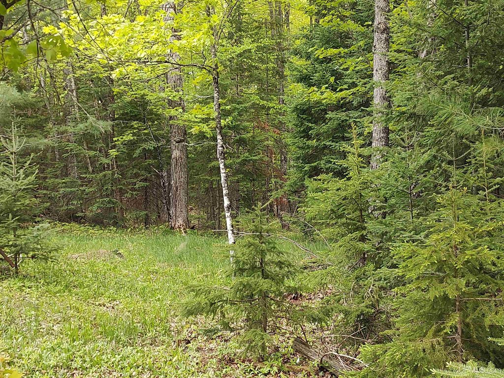 Picture 35