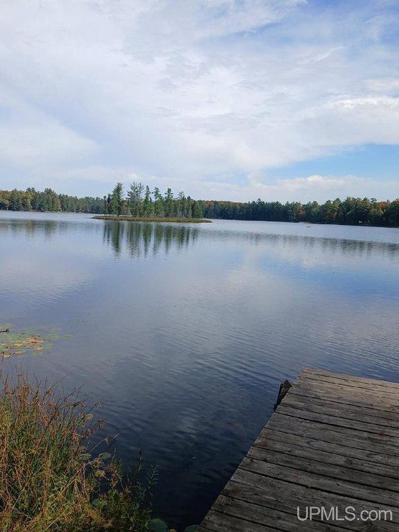 Picture 46
