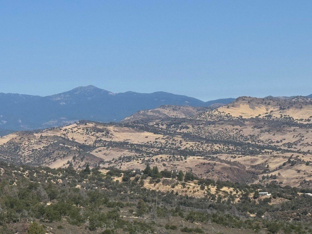 Picture 25