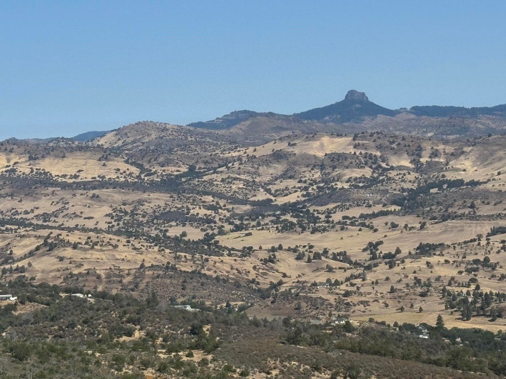 Picture 26