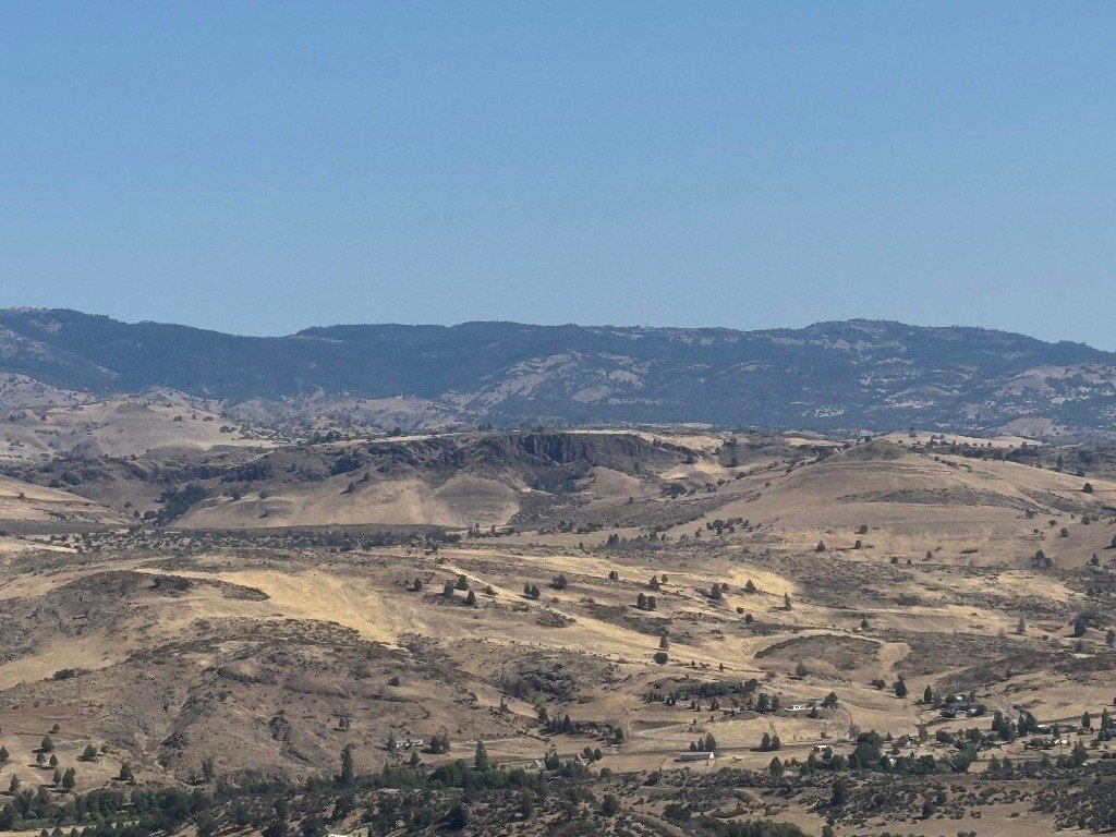 Picture 28