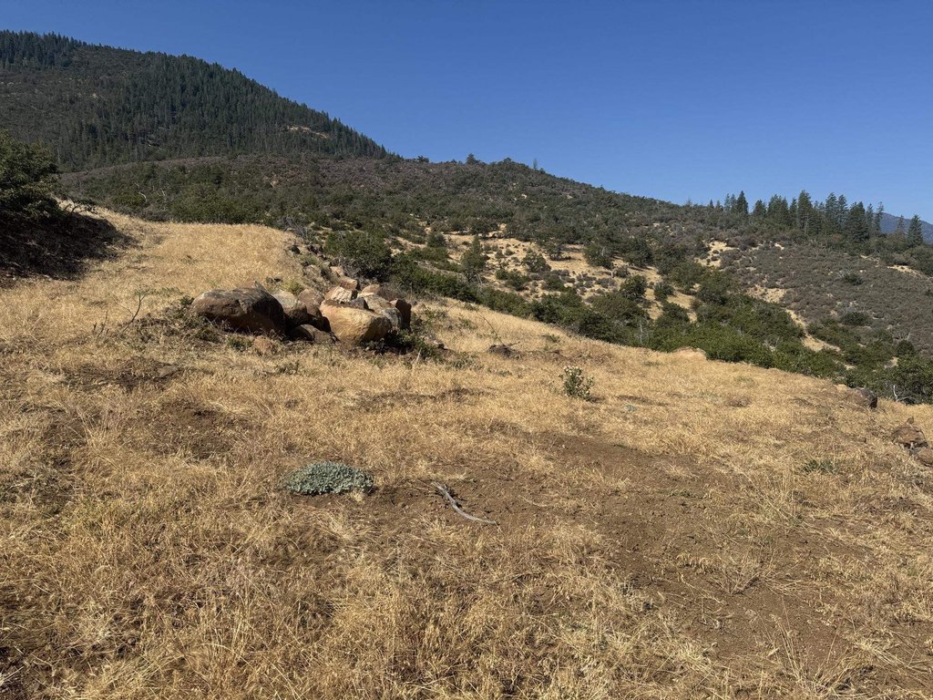 Picture 22