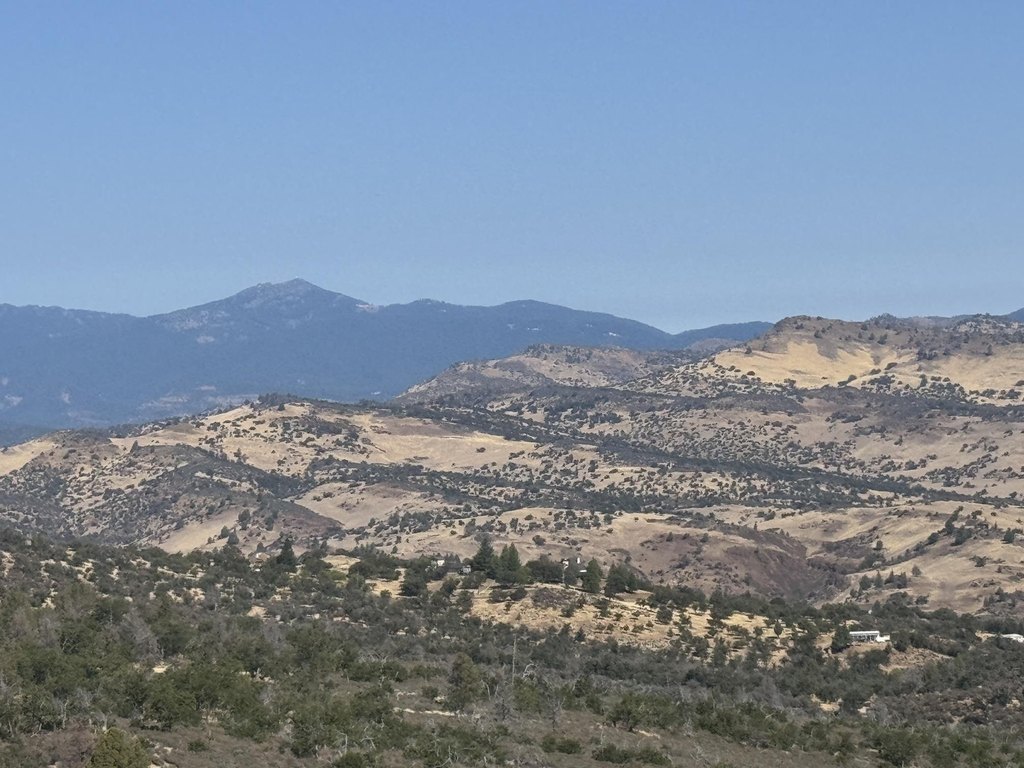 Picture 25