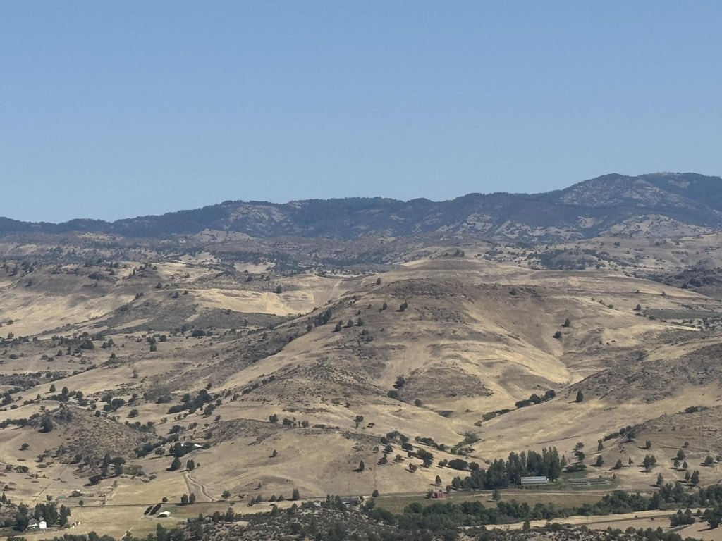 Picture 27