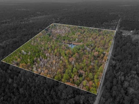 Expansive 50-Acre Parcel in Baker