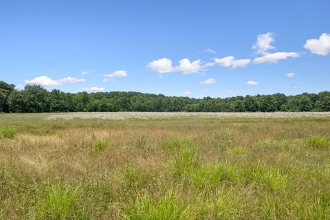 Agricultural Development Tract with Utilities
