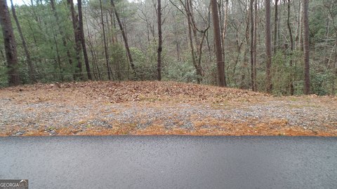 Land, Helen, GA