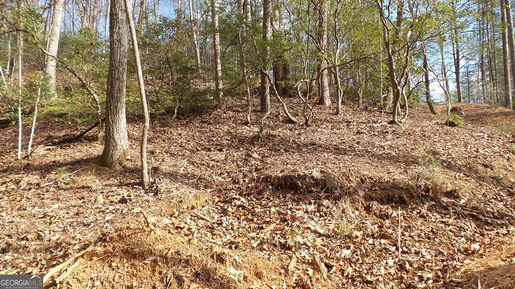 Picture 17