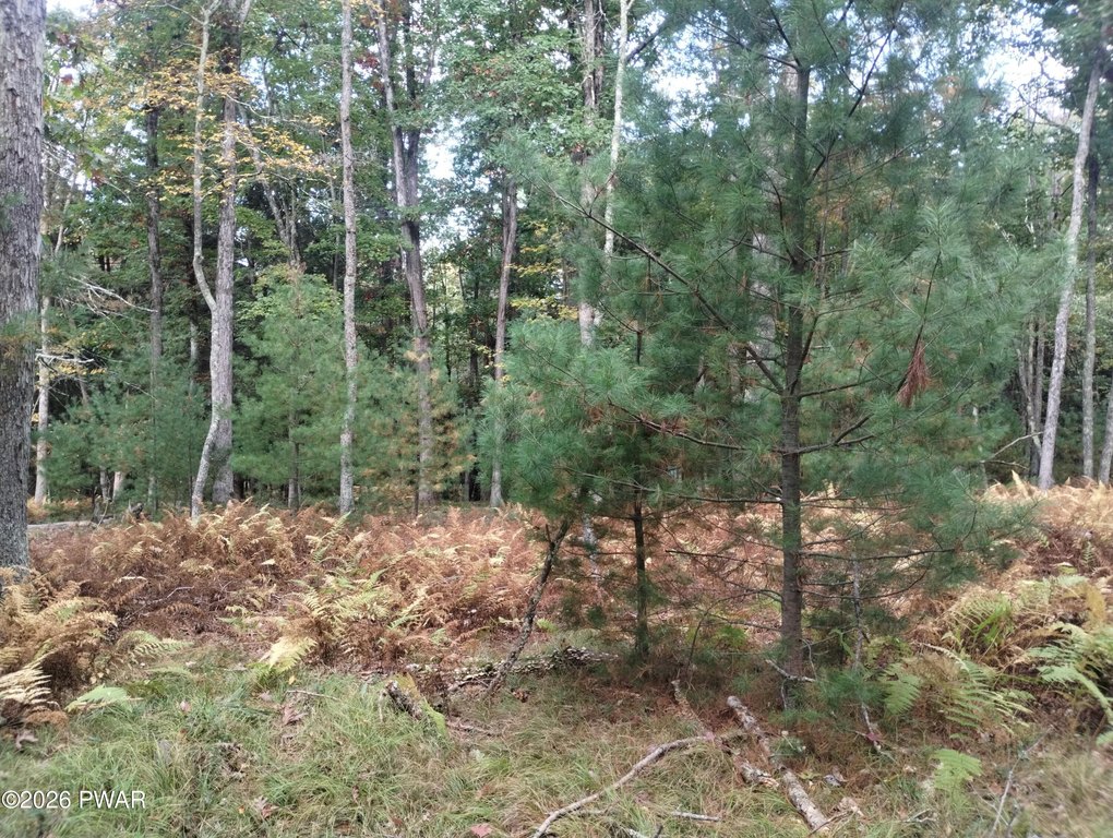 Picture 16