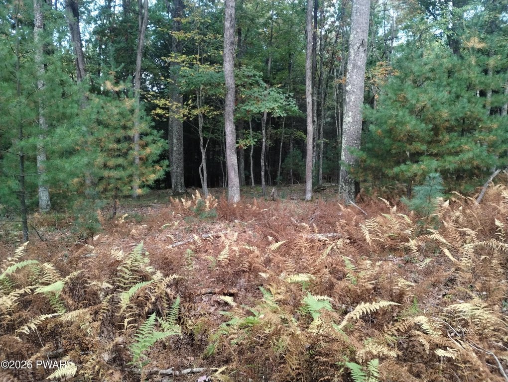 Picture 8