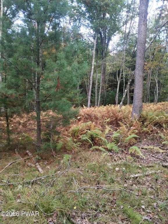 Picture 17