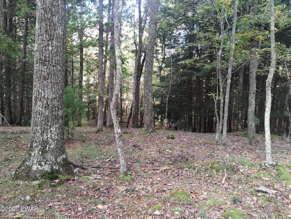 Picture 11