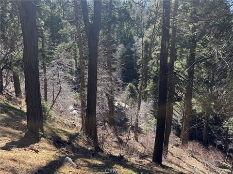 Vacant Lot in Arrowhead Villas