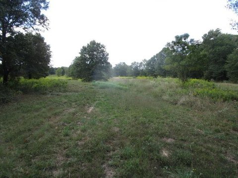 77 Acres on Highway 59