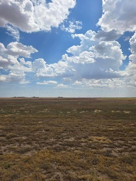 Land -40, Amarillo, TX