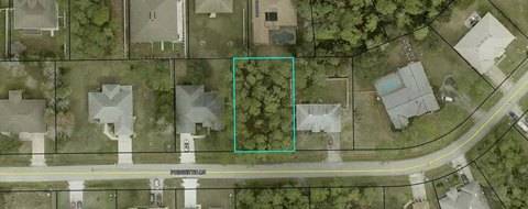 Residential Lot in Palm Coast