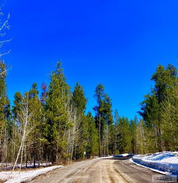 Land Backing National Forest