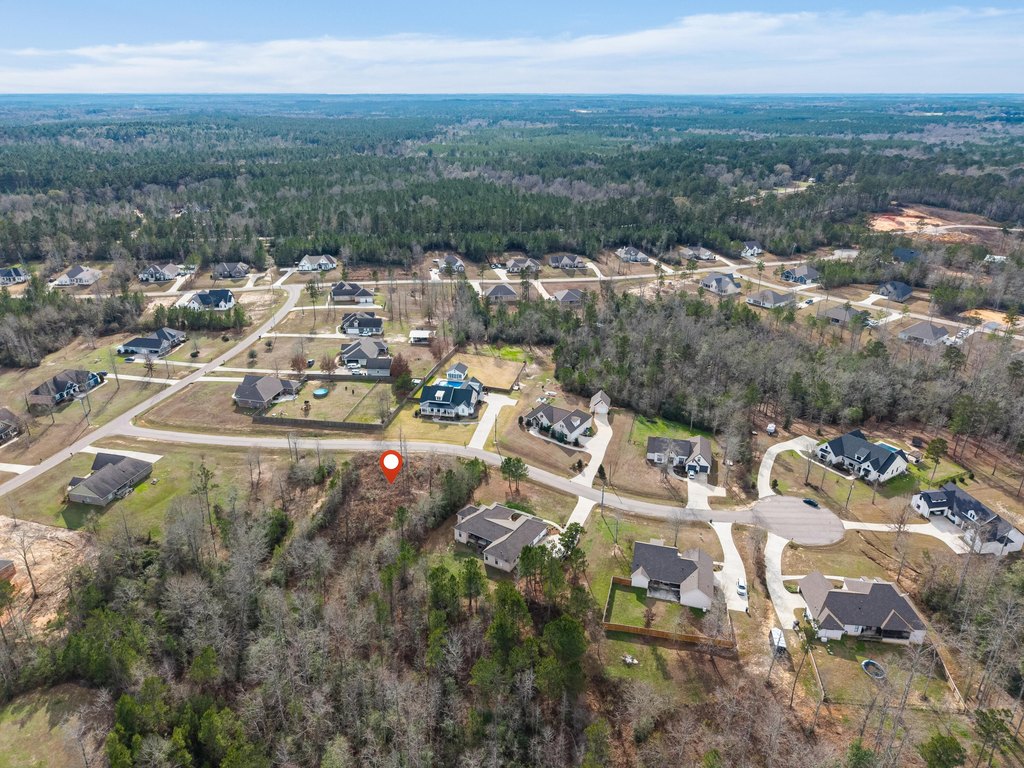 Picture 6