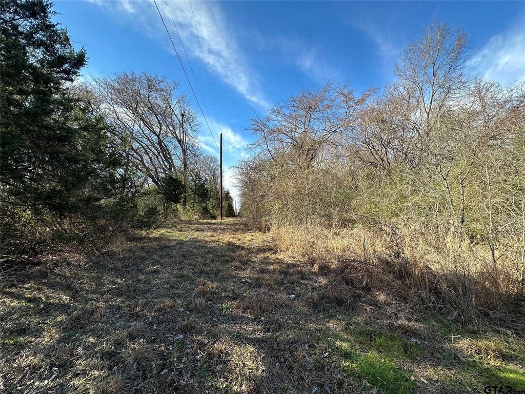 Picture 17