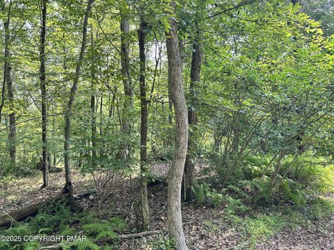 Land in Timber Hill Community