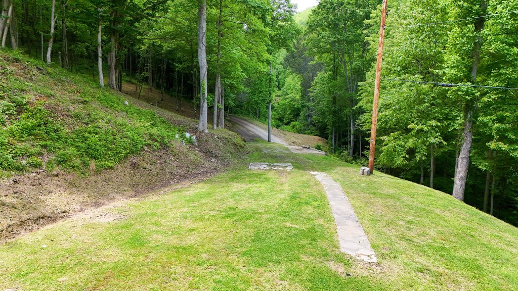 Picture 10