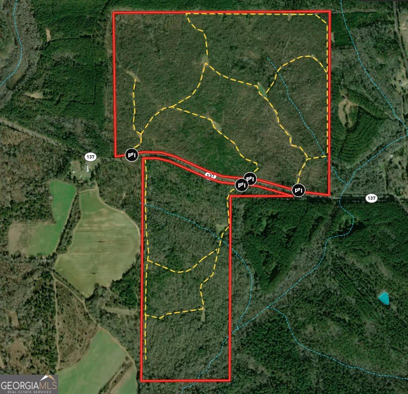 Recreational Land Near Buena Vista