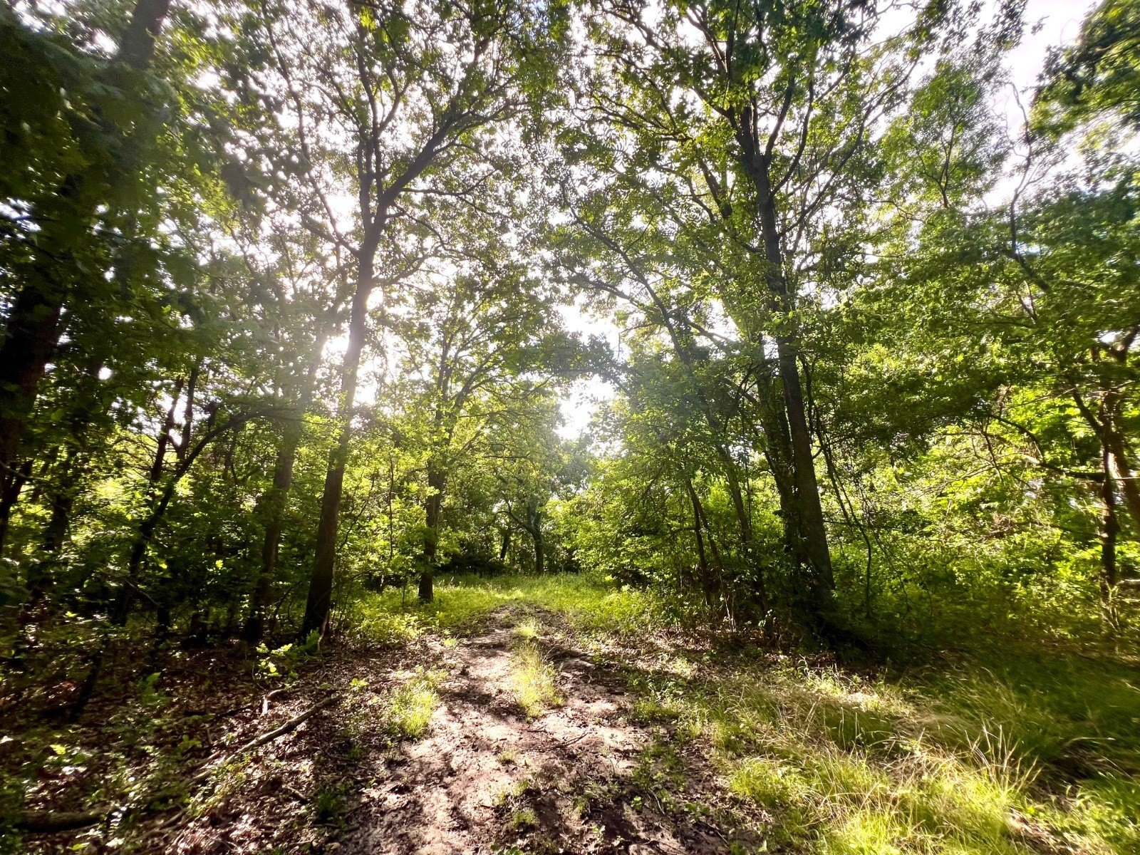 20 Acres of Oklahoma Country