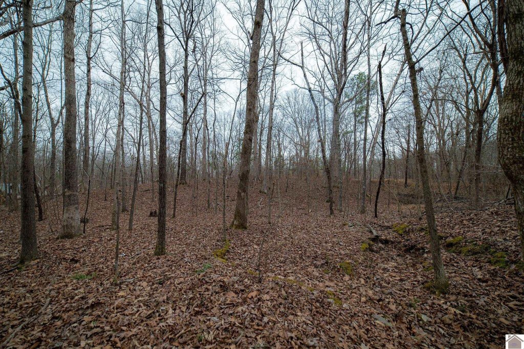 Picture 8