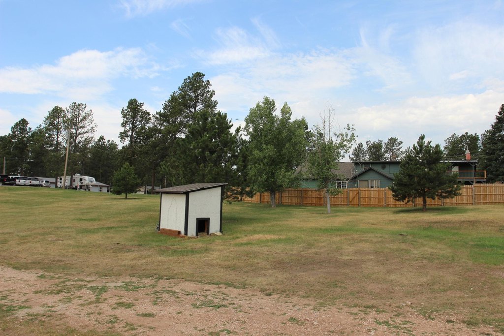 Picture 9