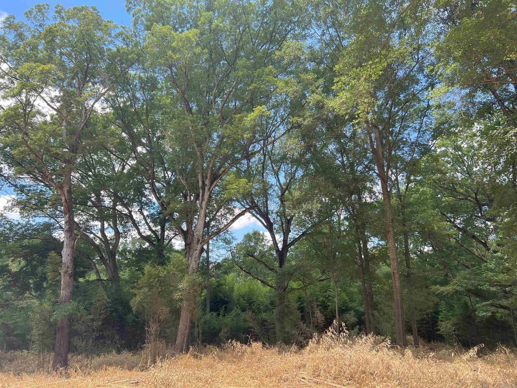 Picture 25