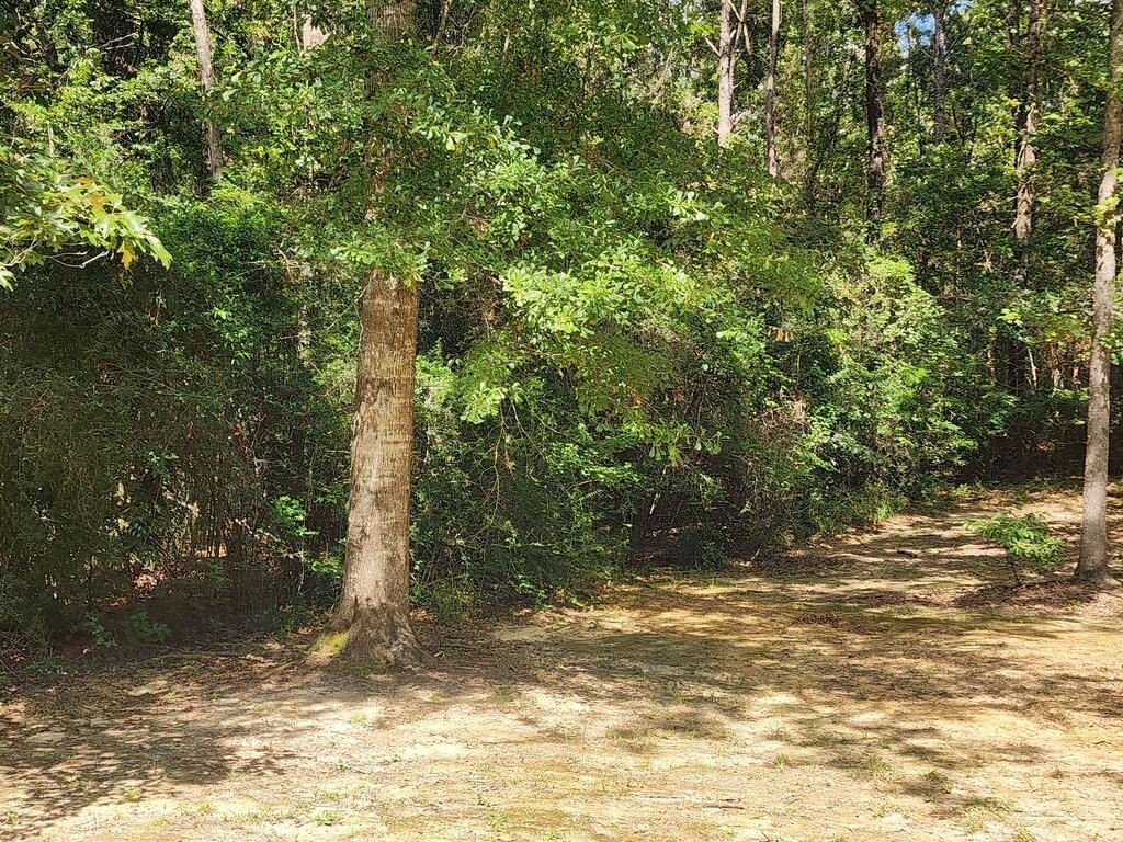 Picture 2