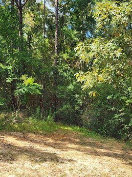 Lots/Land, MS