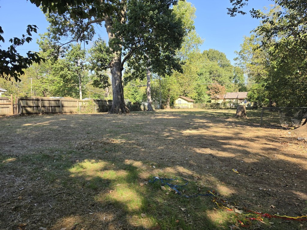 Picture 3