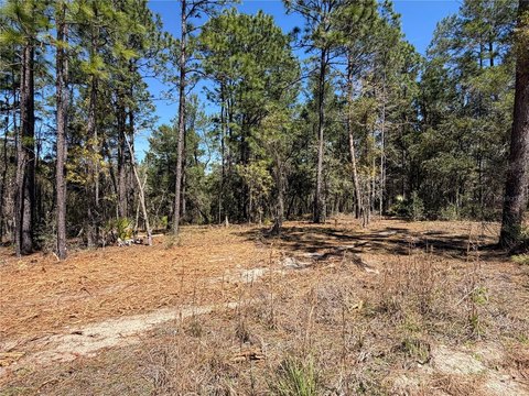 Land, MORRISTON, FL