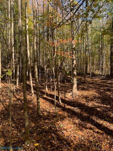 Gloucester Land Opportunity